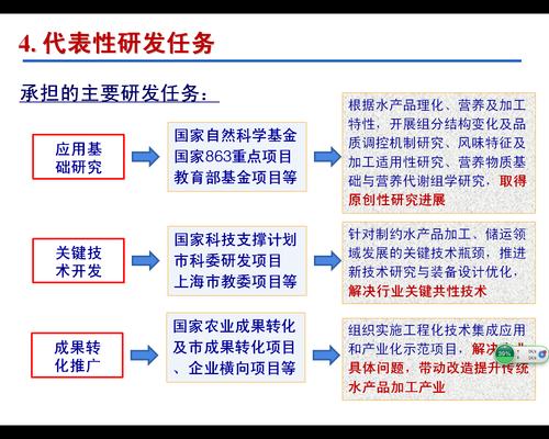 工程化驱动 技术开发人员项目聘任制的实践与优化