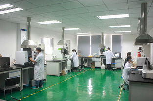 打造一流技术服务标杆 广州广电计量检测股份有限公司的专业化发展之路